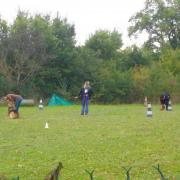 Cours d'Obéissance des débutants