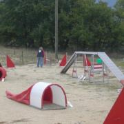 Terrain d'agility