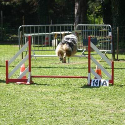 Agility